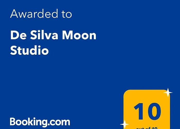 De Silva Moon Studio